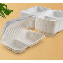 Premium 10x6 inch 2 Compartment Bagasse Clamshell Take Out Food Containers  for Food Packaging and Takeaway(Pack-25 pcs)