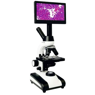 Blisco 5W LED Student Educator Projection Microscope with 7.5 Inch LCD Screen Dual Head Viewing