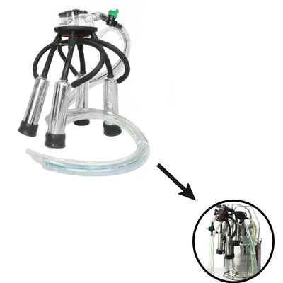 Godhan High Quality Cluster Assembly