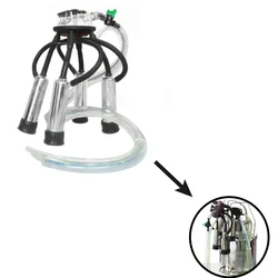 Godhan High Quality Cluster Assembly