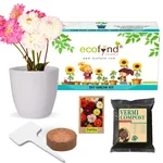 Ecofynd GROWKIT010 Grow Kit of Dahlia Flower DIY Easy Grow it Yourself Gardening Kit for Home and Garden Set 