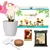 Ecofynd GROWKIT010 Grow Kit of Dahlia Flower DIY Easy Grow it Yourself Gardening Kit for Home and Garden Set 