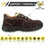 Coffer Safety M1025 Airport Friendly Safety Shoe, 100% Metal Free, 200J Composite Toe Cap, Brown(Size-5)