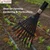 Global Nature Agro Precision 9 Tine Stainless Steel Spring Brace Rake With Adjustable For Lawn, Yard And Garden