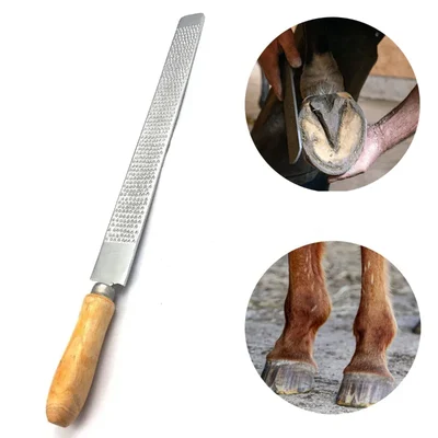 Commercial 10 Inch Stainless Steel Horse Hoof Rasp Filer