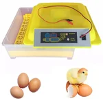 Commercial Egg Incubator with Egg Turner Tray, 48 Eggs Capacity