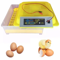 Commercial Egg Incubator with Egg Turner Tray, 48 Eggs Capacity