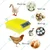 Commercial Egg Incubator with Egg Turner Tray, 48 Eggs Capacity