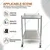 SS 16 x 16 x 29 inch, 2 Tier Commercial Heavy Duty Food Rolling Cart with Wheels for Kitchen, Restaurant