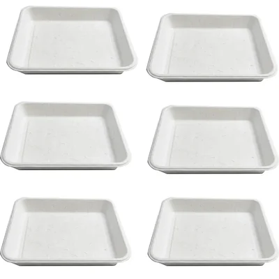 Chuk 7inch Biodegradable Rectangular Tray 500pcs, Sugarcane Bagasse Box for Parties Family Events