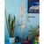 Ecofynd EC18031-M6 Handwoven Cotton Macrame Hanging Planter for Elegant Home & Garden Decor(Pack of 2)