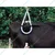 Mild Steel Cow Lifting Frame For Animal Support