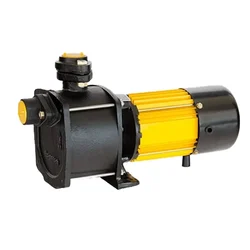 CG Power 1 HP Single Phase Shallow Well Pump, C.I. Body, 40m Max. Head, 25x25 mm (CGDSW1080C) - 1 Year Warranty