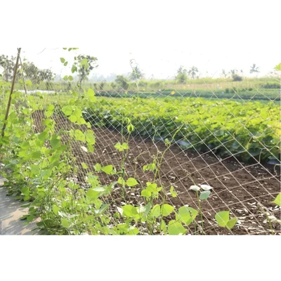 Orifresh Crop Support Net 6x500ft Heavy Duty Nylon Trellis Netting for Vegetables & Climbing Vines