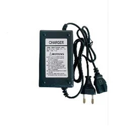 CSM 1.7Amp  12V Battery Charger With  PVC Body With A Length Of 1.5Mtr For Charging Agriculture Sprayer