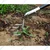 RedBuild 2 in 1 Manual Culti-Weeder Without Handle, 3 Fingers 4 Inches Blade for Weeding and Cultivating Soil