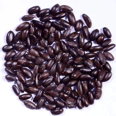 Custard Apple Seeds (Sitaphal Seeds) -(100g)