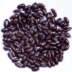 Custard Apple Seeds (Sitaphal Seeds) -(100g)