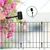 Ecofynd Decorative Garden Fence 2.3ft X 5.2ft (Black) , Rustproof Metal Wire Fencing Flower Bed Animal Barrier.