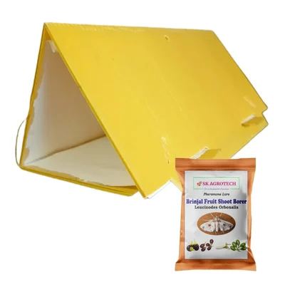 SK Agrotech Delta Trap with Brinjal Lure (Leucinodes Orbonalis)(Quantity-5 Traps and 5 Lures)