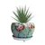 5 Inches Designer Flower Pot with Elegant Flower Print Finish, Used for Home Decoration Purpose