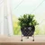 Ecofynd Black, Metal Designer Planter Pot for Indoor Outdoor Home Decor