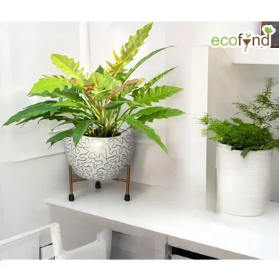 Ecofynd White and Gold Desk Planter | Used for Indoor Outdoor Plants/Home Decor