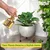 Ecofynd White and Gold Desk Planter | Used for Indoor Outdoor Plants/Home Decor