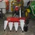 Sprayman Reaper Binder Machine With Self Start 9 HP Diesel Engine For Crop Harvesting  | 4GK90