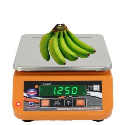 DIGITONE 10 kg MS Micro Table Top Weighing Scale, with 0.5 gm Accuracy ( DGT 10/0.5)