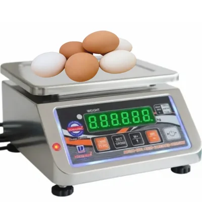 DIGITONE 10 kg SS Mini Table Top Weighing Scale, with 1 gm Accuracy ( DGT 10/1)