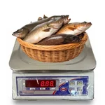 DIGITONE 20 kg NANO Table Top Weighing Scale, with 2 gm Accuracy ( DGT 20/2)