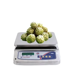 Digitone 1-30 kg Metal Table Top Weighing Machine, 250 x 300 mm Platform Size (DGT ECO 30 MS(F/B))