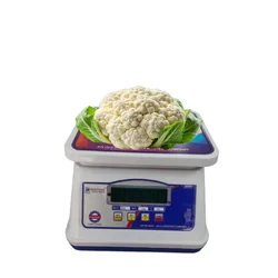 Digitone 30 kg ABS Table Top Weighing Machine, 240 x 170 mm Platform Size (DGT 30 ABS SLEEK MODEL)