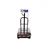 Digitone 50 kg Platform Weighing Machine, 300 x 300 mm Platform Size (DGP 50)