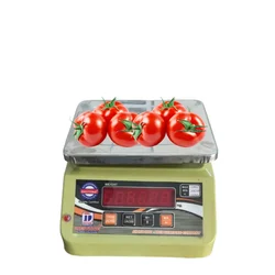 Digitone 10 kg Table Top Weighing Machine, 160 x 140 mm Platform Size (DGT Micro)