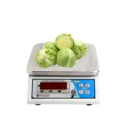 Digitone 30 kg Metal Table Top Weighing Machine, 175 x 325 mm Platform Size (DGT Nano)