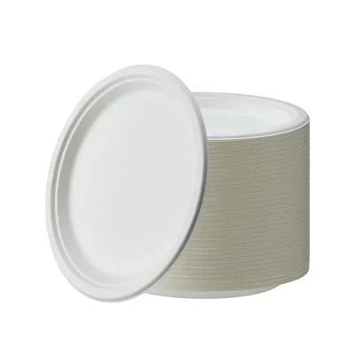 HORECA, 10 Inch Disposable Bagasse Paper Plates | Eco-Friendly Sugarcane Paper Plates for Wedding, Party, Cafes & Homes(Pack-50 Pcs)