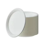 HORECA, 10 Inch Disposable Bagasse Paper Plates | Eco-Friendly Sugarcane Paper Plates for Wedding, Party, Cafes & Homes