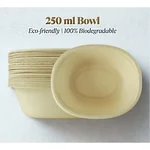 PAAVAN 250 ml Disposable Bagasse Bowls Oval Shape for Serving Snacks & Dinner | Wedding and Party