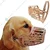 Adjustable Strap Dog Mouth Cover Muzzle Prevent Biting Behaviour Perfect for Dog (Set of 6 Pcs Extra Small to Giant)
