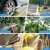 Dongcheng 100bar, 1600W High Pressure Car Washer With All Accessories (DQW5.5/10)