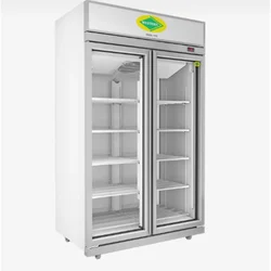 WESTERN SMR 12 Double Door Visi Cooler, 935 Ltr Capacity