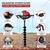 BALWAAN 63 cc 2 Stroke Powerful Heavy Duty Petrol Earth Auger with 4 Inch Double Spiral Bit Suitable for Digging Holes, Plantation & Fencing Purpose |BE-63