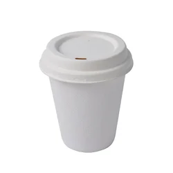 Premium 350ml 300 GSM Double-Walled Cup with Bagasse Sipper Lid(Pack-25 pcs)