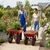 Agrolift 300 Kg Load Capacity Double Wheelbarrow With Pneumatic Tyre (DWB-PH-Heavy Model)- Set Of 2