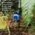 Kamal Agrotech Drip Irrigation Kit for Home Garden, Farming, Agriculture (Drip Irrigation Kit, 10 Plants)
