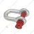 Heavy Duty G80 Alloy Steel 1 Ton Screw Pin Type D Shackle For Lifting (Pack of 5)