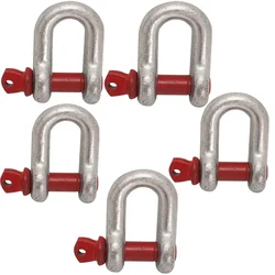 Heavy Duty G80 Alloy Steel 1 Ton Screw Pin Type D Shackle For Lifting (Pack of 5)