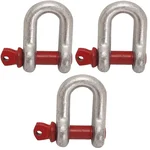 Ferreterro  2 Ton Alloy Steel Screw Pin Type D Shackle For Lifting